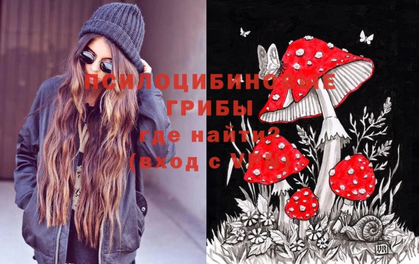 СК Елизово