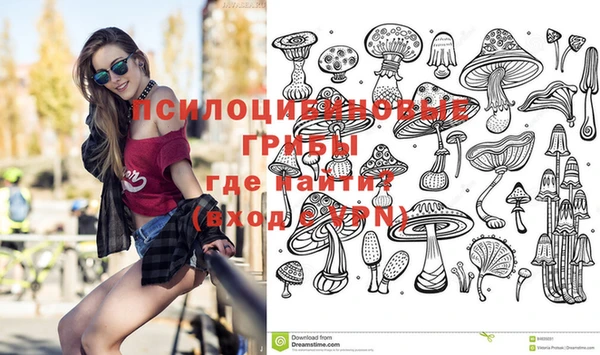 прущая мука Ельня